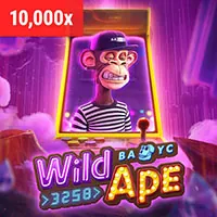 Video Slots